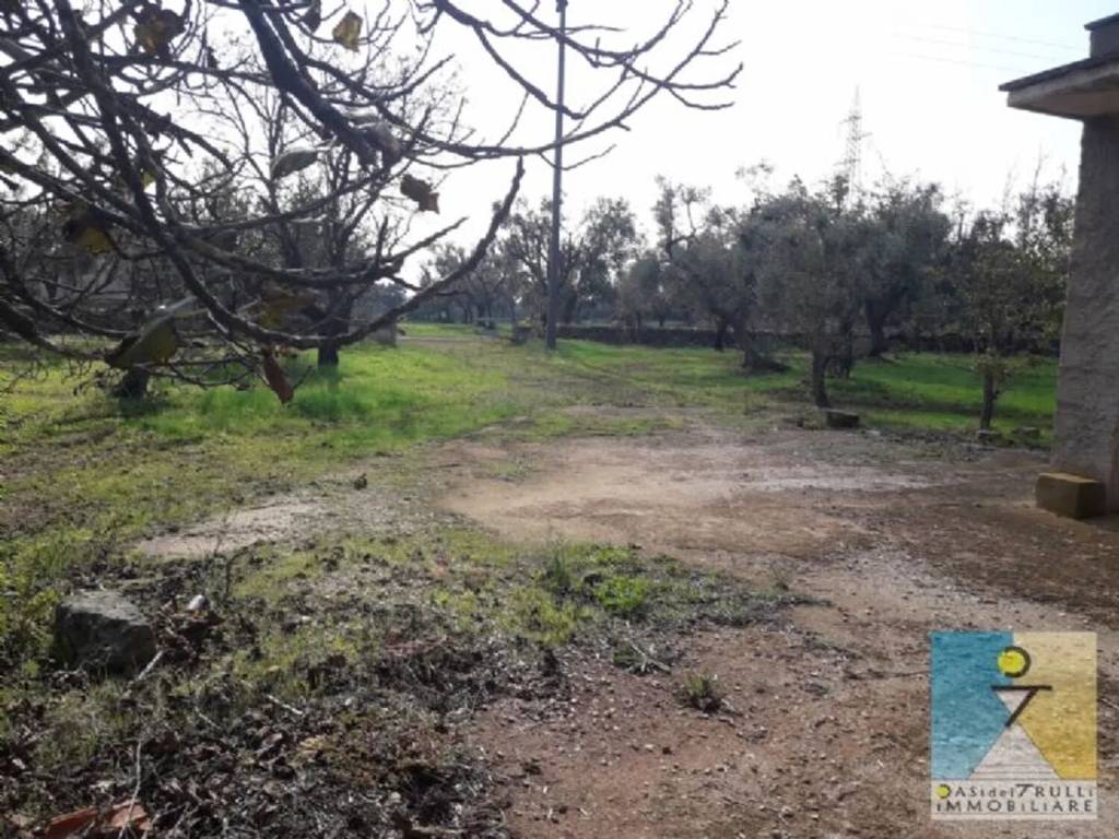 Rustico / casale a Francavilla fontana - Foto 2