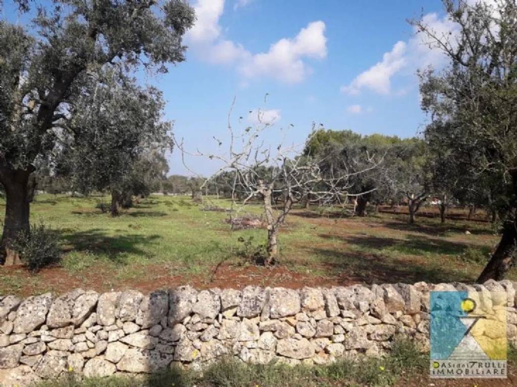 Rustico / casale a Francavilla fontana - Foto 3