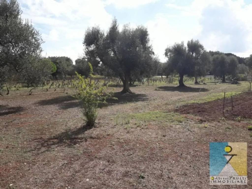 Rustico / casale a San michele salentino - Foto 2