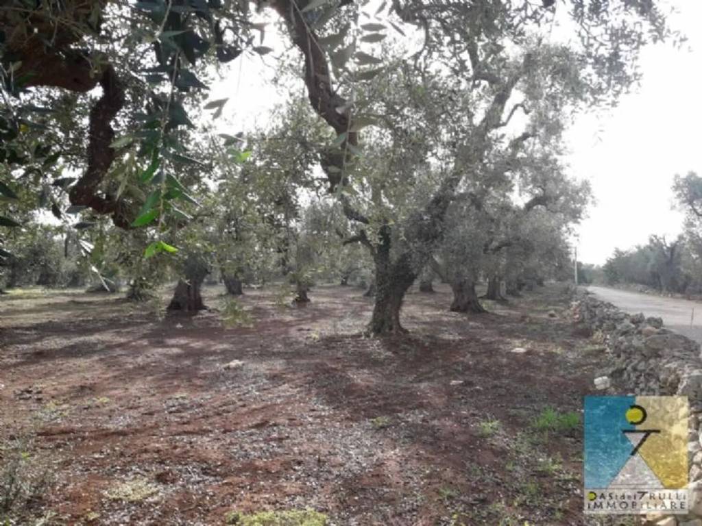 Rustico / casale a San michele salentino - Foto 3