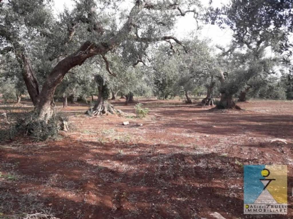 Rustico / casale a San michele salentino - Foto 4