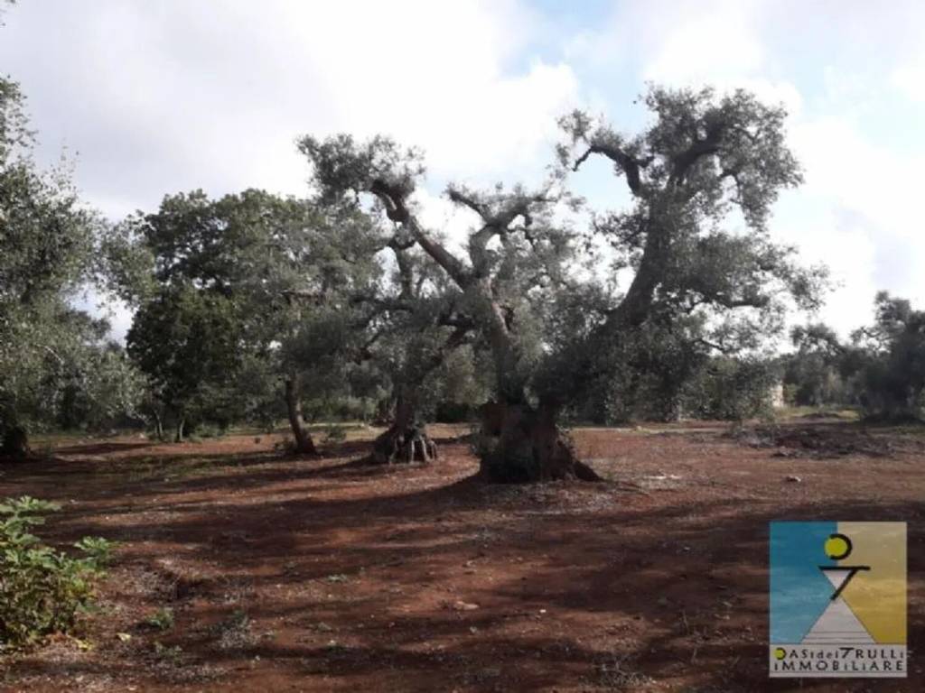 Rustico / casale a San michele salentino - Foto 5