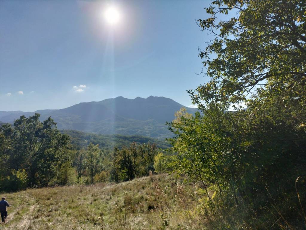 Rustico / casale a Bettola in Bocito - Foto 3