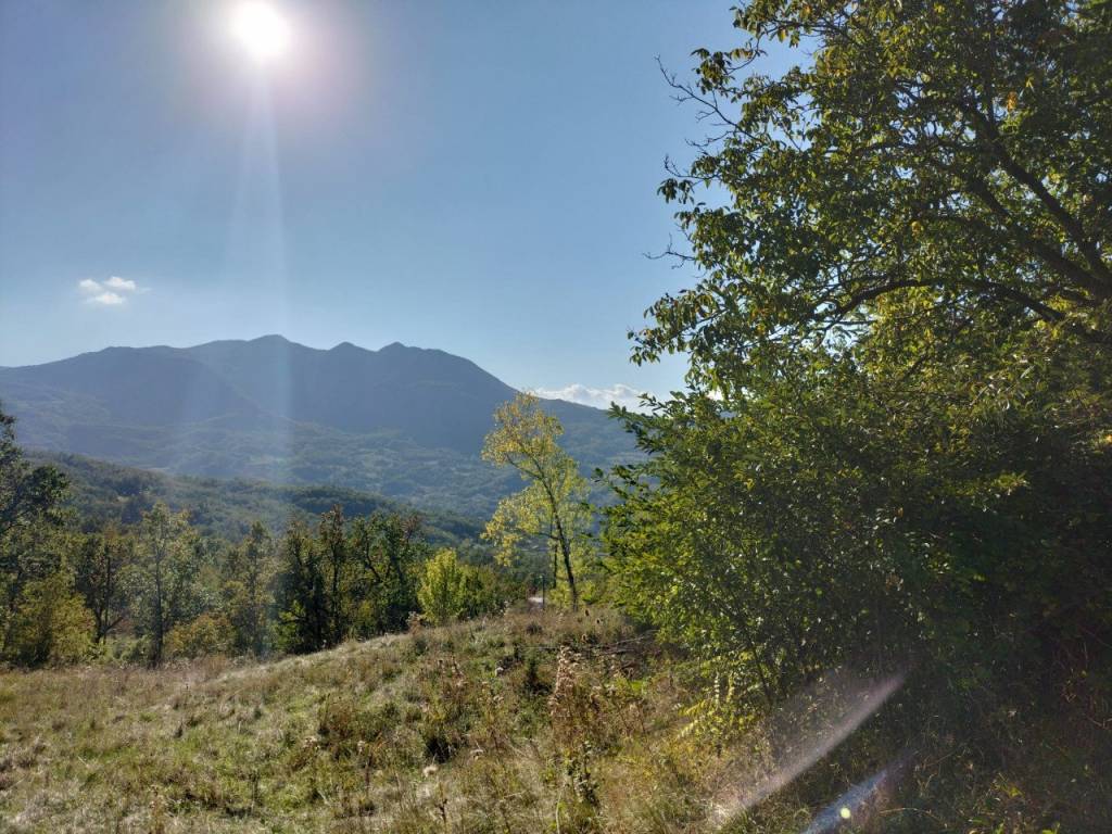 Rustico / casale a Bettola in Bocito - Foto 4