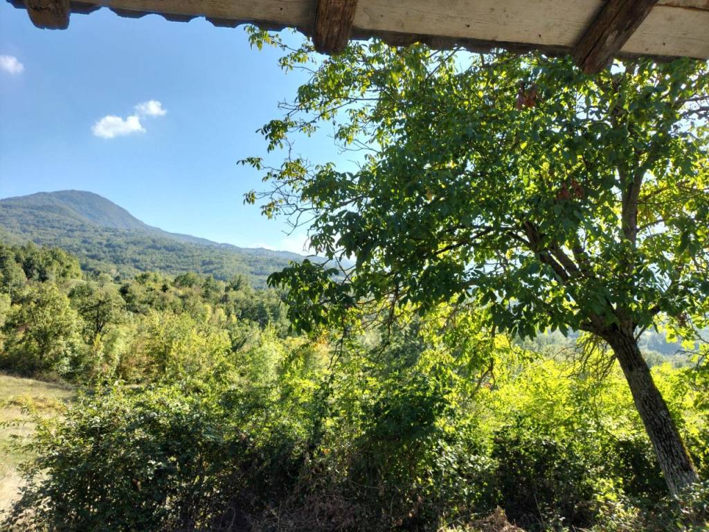 Rustico / casale a Bettola in Bocito - Foto 5