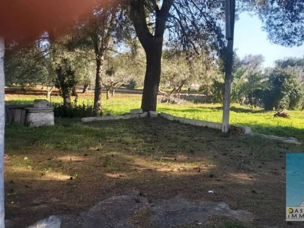 Rustico / casale a Ceglie messapica - Foto 2