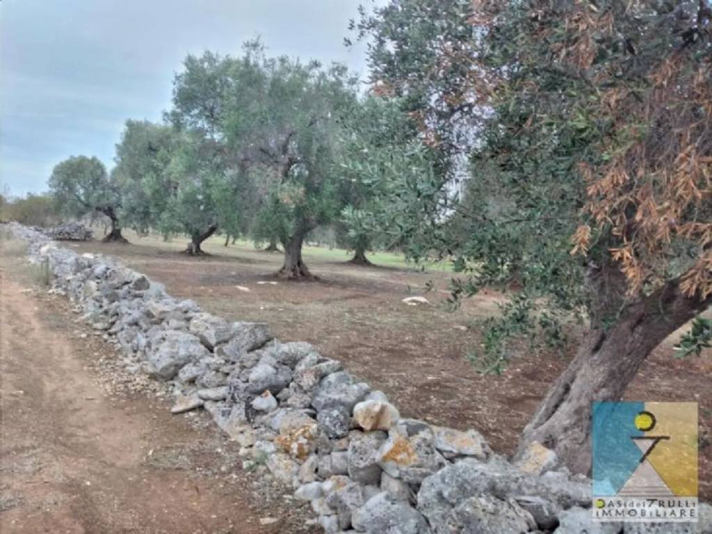 Rustico / casale a Latiano in Contrada Coltuta - Foto 4