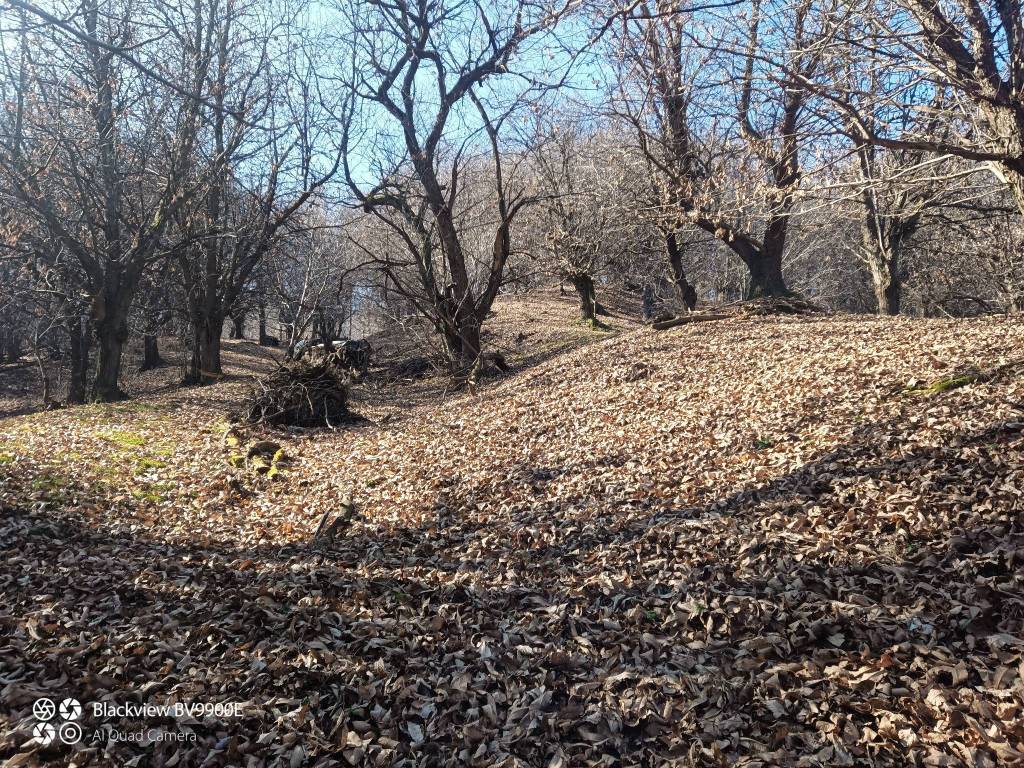 Terreno a Manta - Foto 2