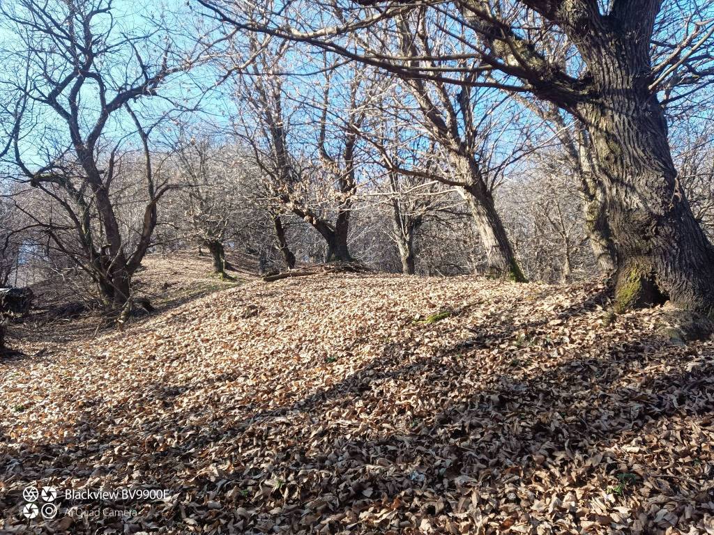 Terreno a Manta - Foto 4