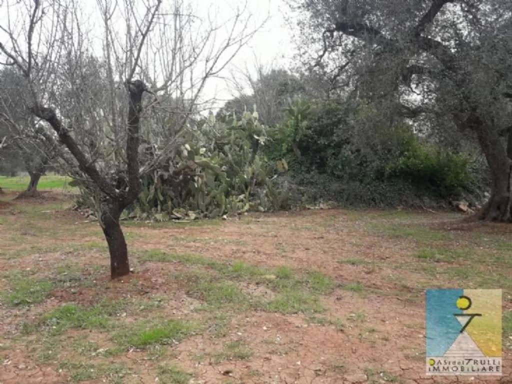 Rustico / casale a San michele salentino - Foto 5