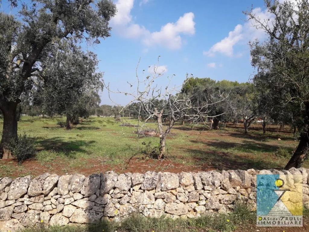 Rustico / casale a San vito dei normanni in San Vito Dei Normanni, Contrada Grattile - Foto 3