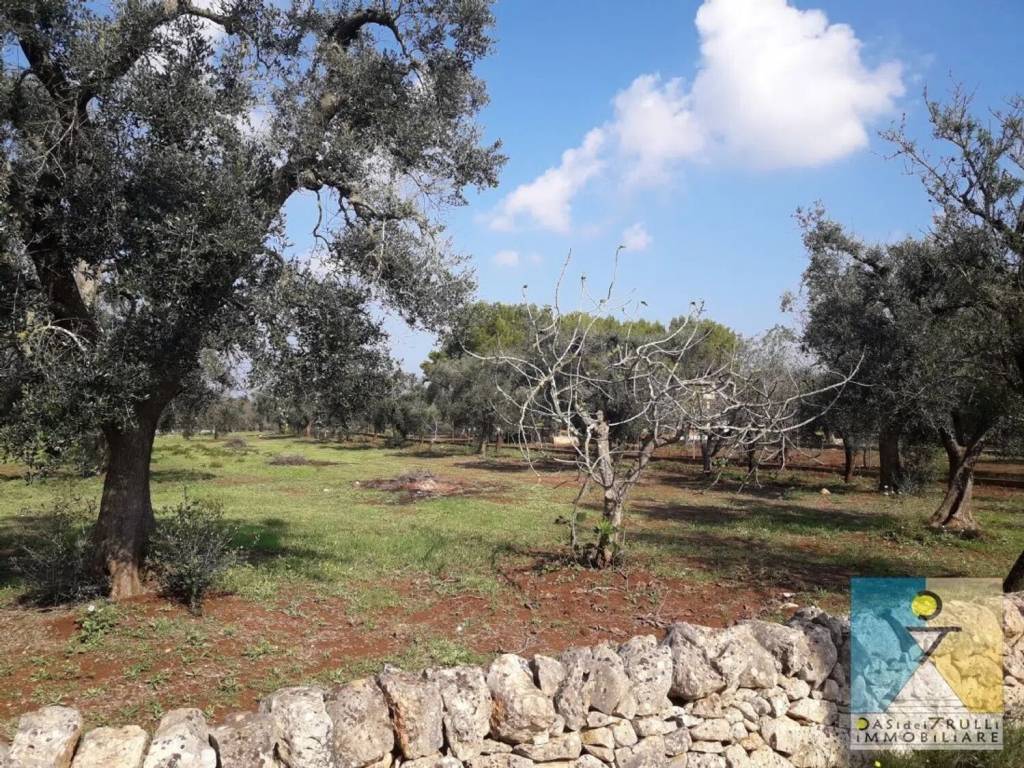 Rustico / casale a San vito dei normanni in San Vito Dei Normanni, Contrada Grattile - Foto 4