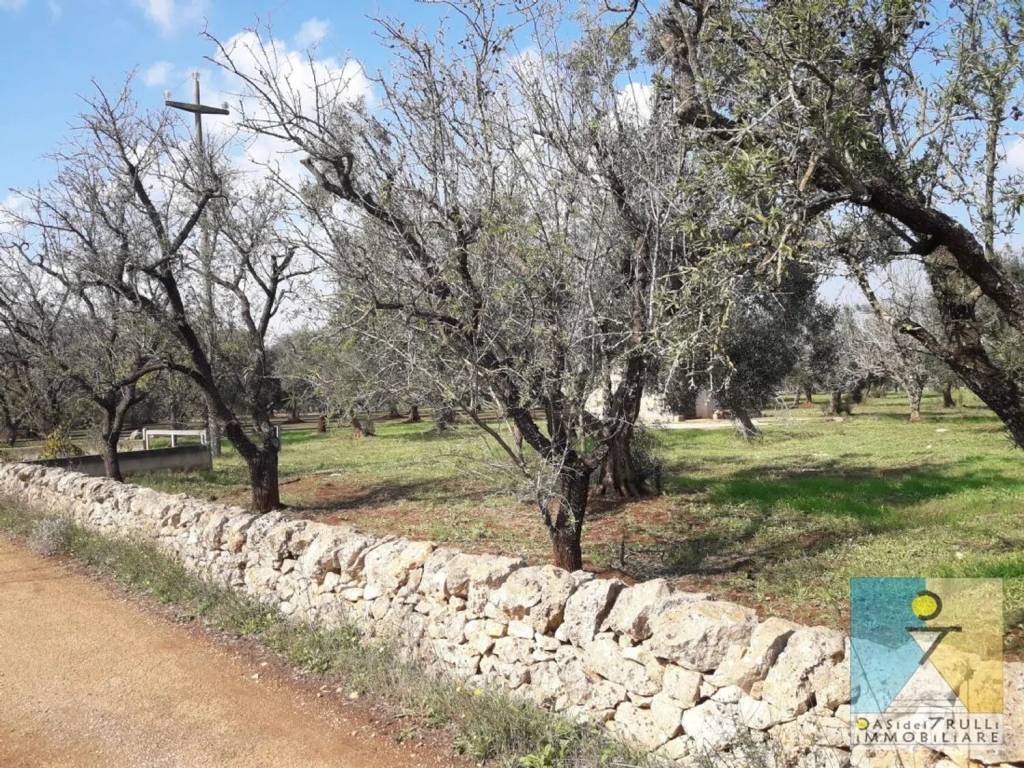 Rustico / casale a San vito dei normanni in San Vito Dei Normanni, Contrada Grattile - Foto 5