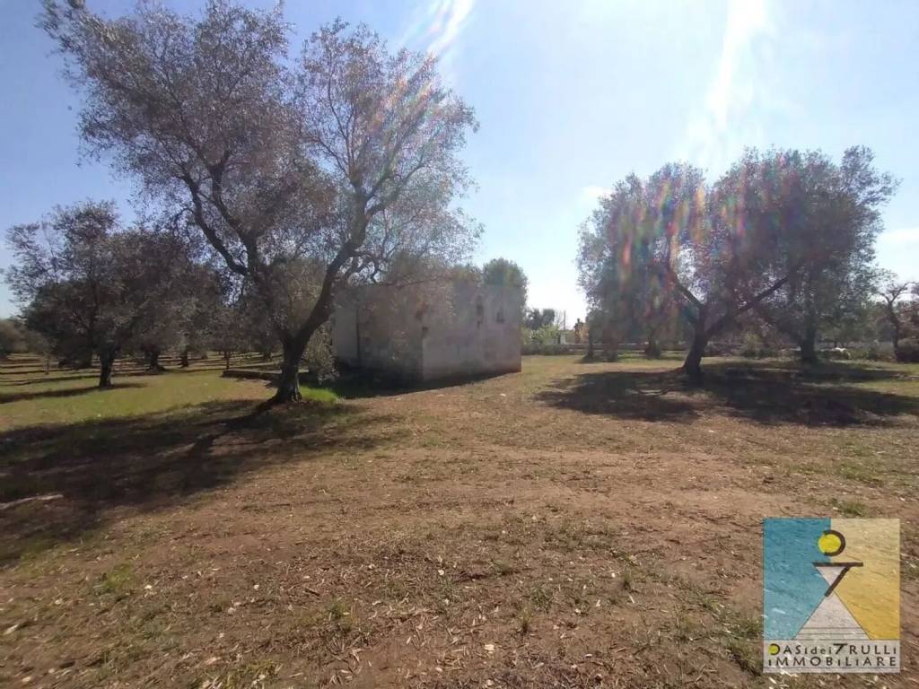 Rustico / casale a San vito dei normanni in Contrada Usciglio S.N.C. - Foto 2