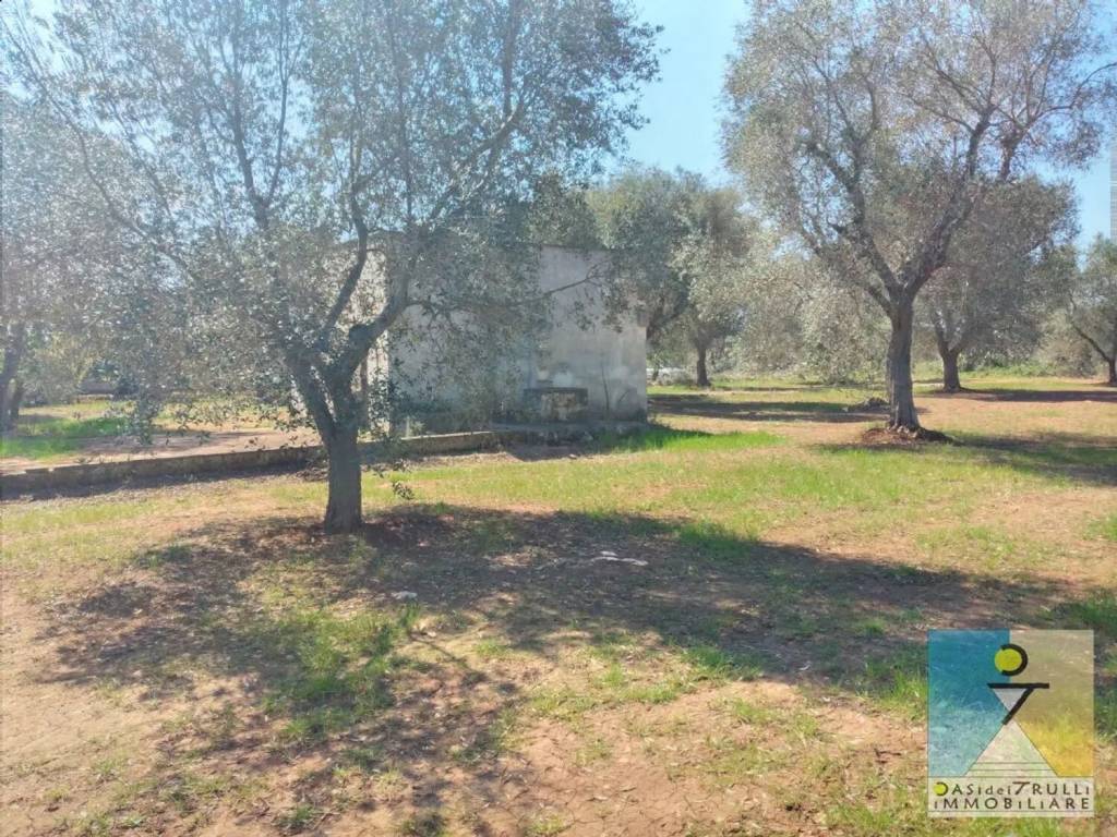 Rustico / casale a San vito dei normanni in Contrada Usciglio S.N.C. - Foto 3