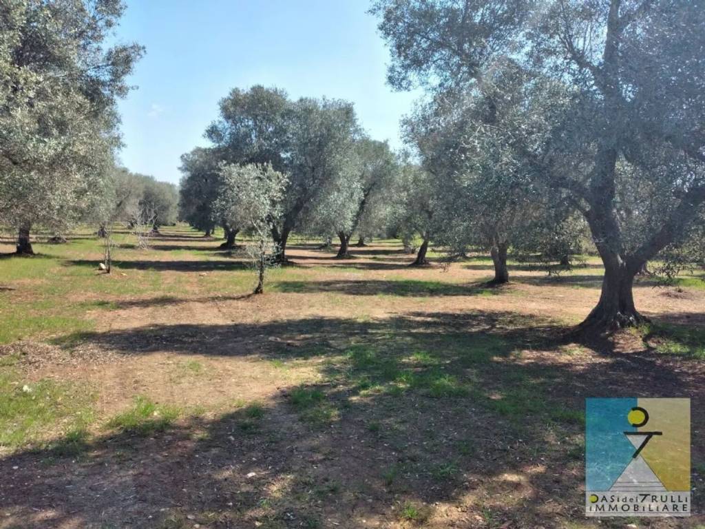 Rustico / casale a San vito dei normanni in Contrada Usciglio S.N.C. - Foto 4