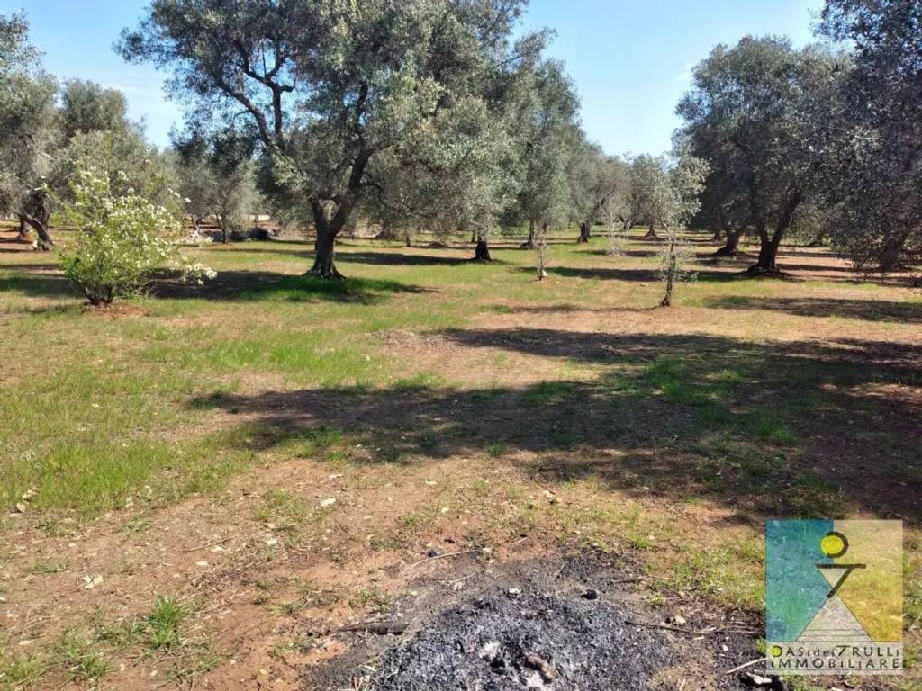 Rustico / casale a San vito dei normanni in Contrada Usciglio S.N.C. - Foto 5