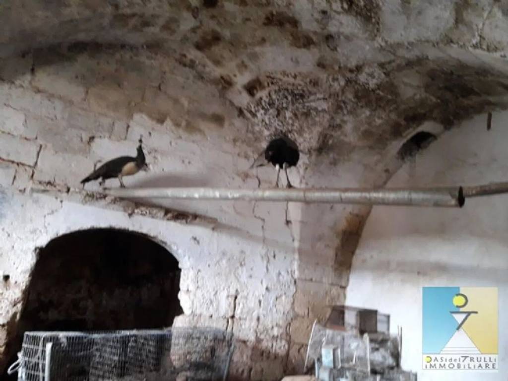 Rustico / casale a San vito dei normanni - Foto 4