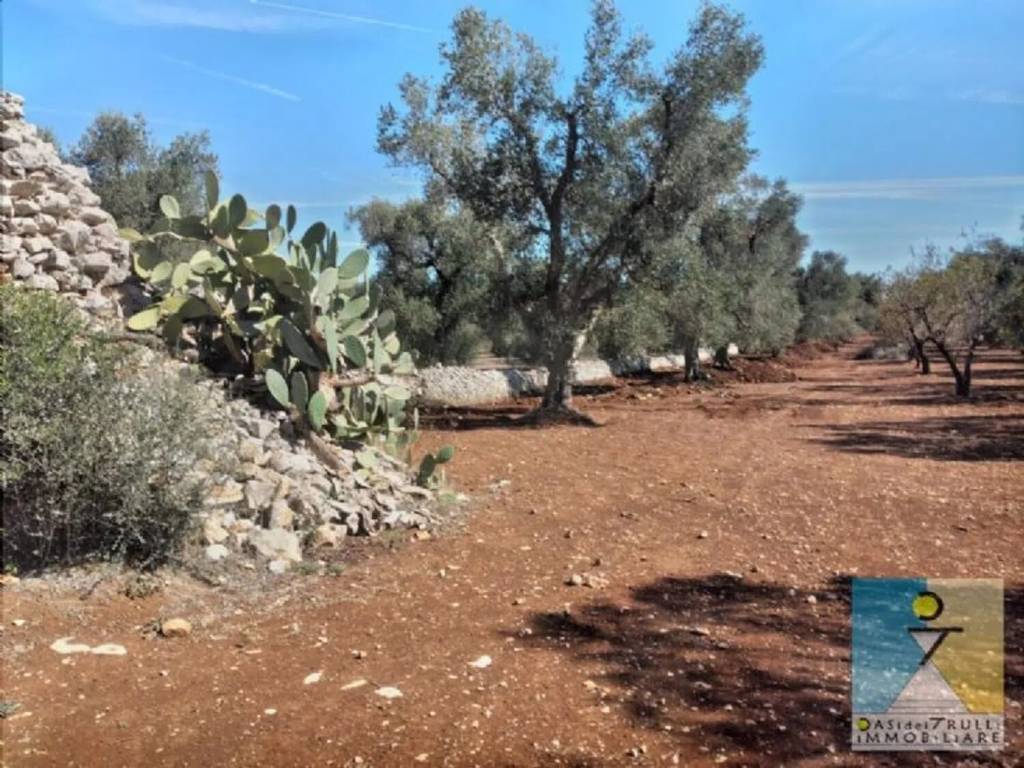 Rustico / casale a San michele salentino in Contrada Aieni - Foto 2