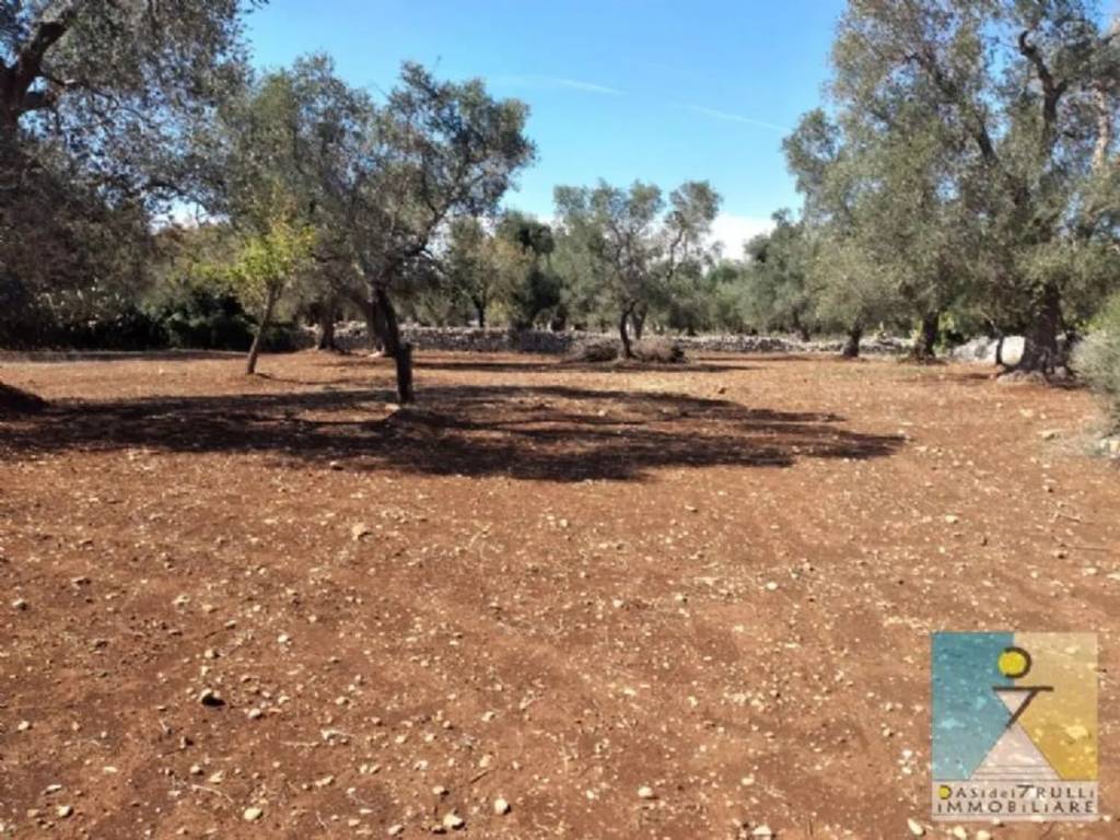 Rustico / casale a San michele salentino in Contrada Aieni - Foto 3