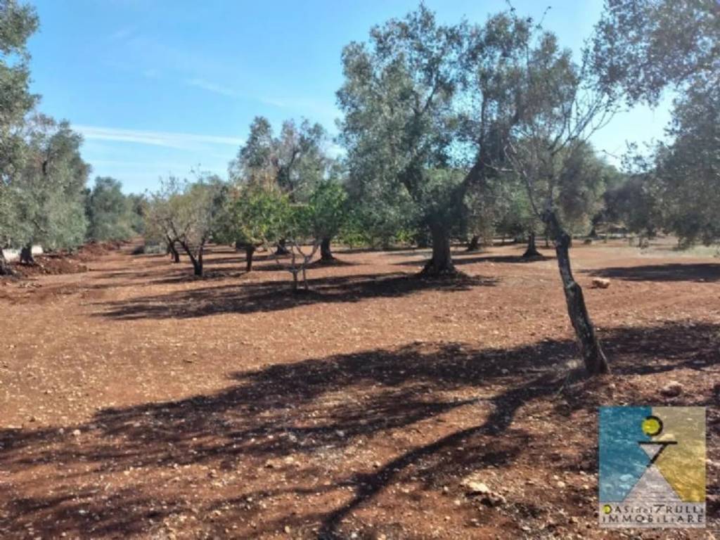 Rustico / casale a San michele salentino in Contrada Aieni - Foto 4