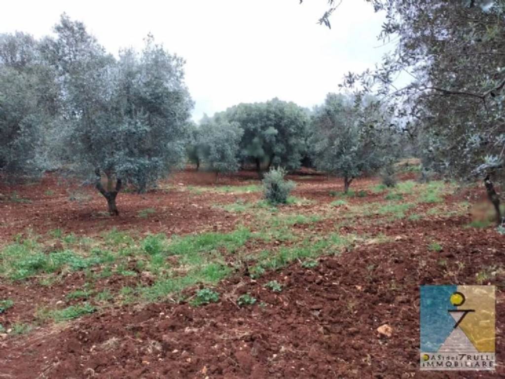 Rustico / casale a Francavilla fontana in Contrada Sierro - Foto 4