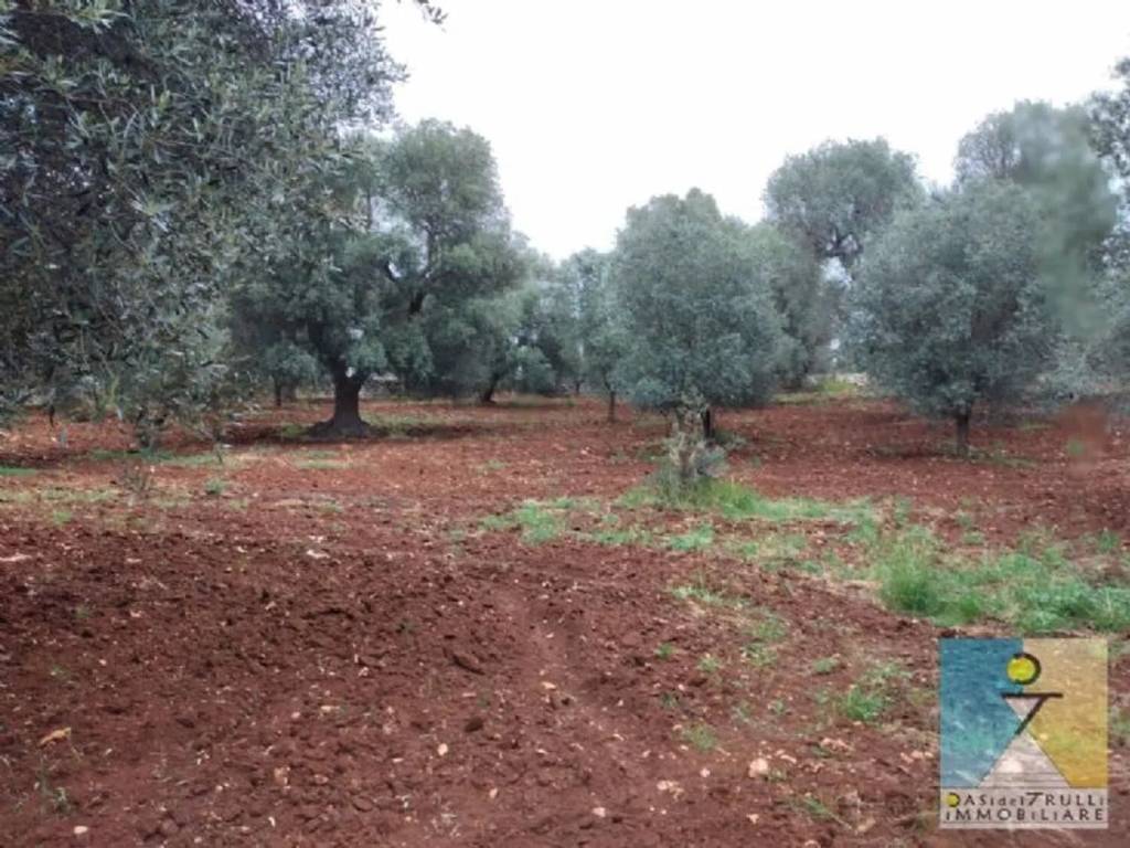 Rustico / casale a Francavilla fontana in Contrada Sierro - Foto 5