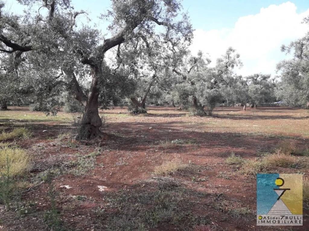 Rustico / casale a San michele salentino in San Michele Salentino, Contrada Augelluzzi S.N.C. - Foto 4