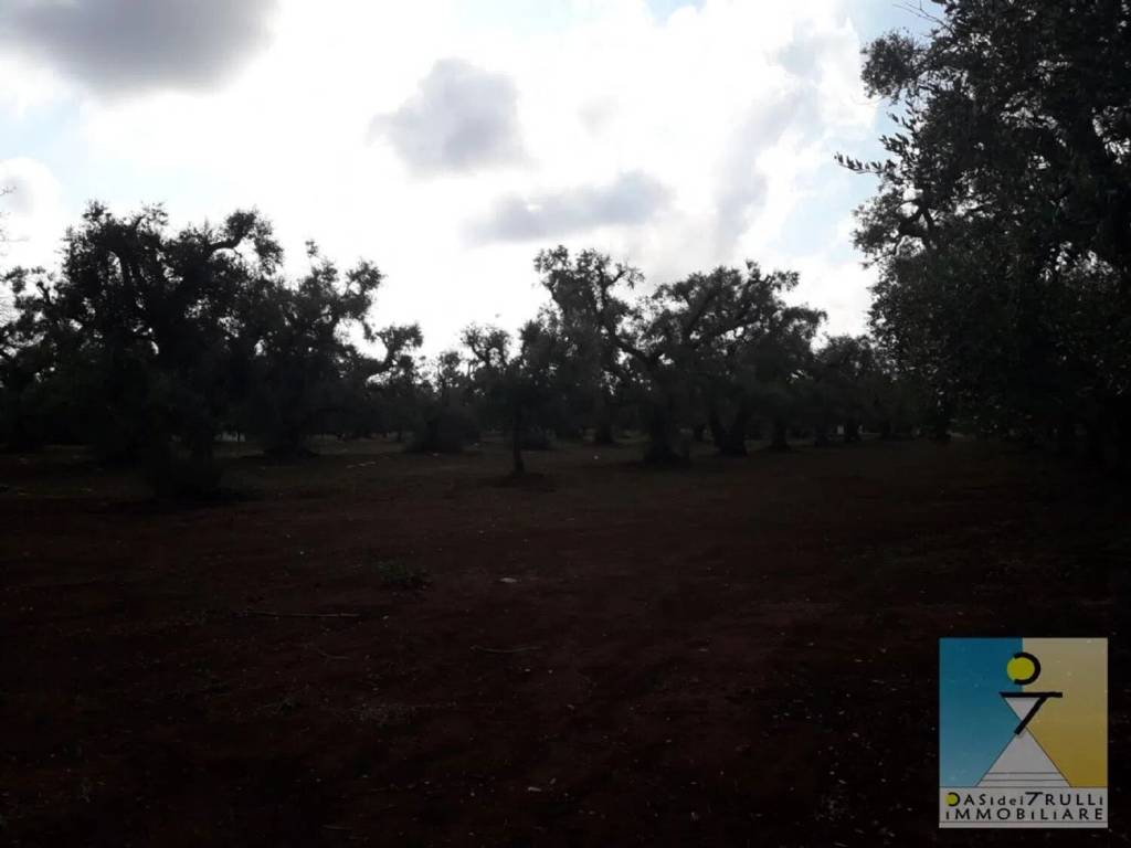 Rustico / casale a San michele salentino in San Michele Salentino, Contrada Augelluzzi S.N.C. - Foto 5