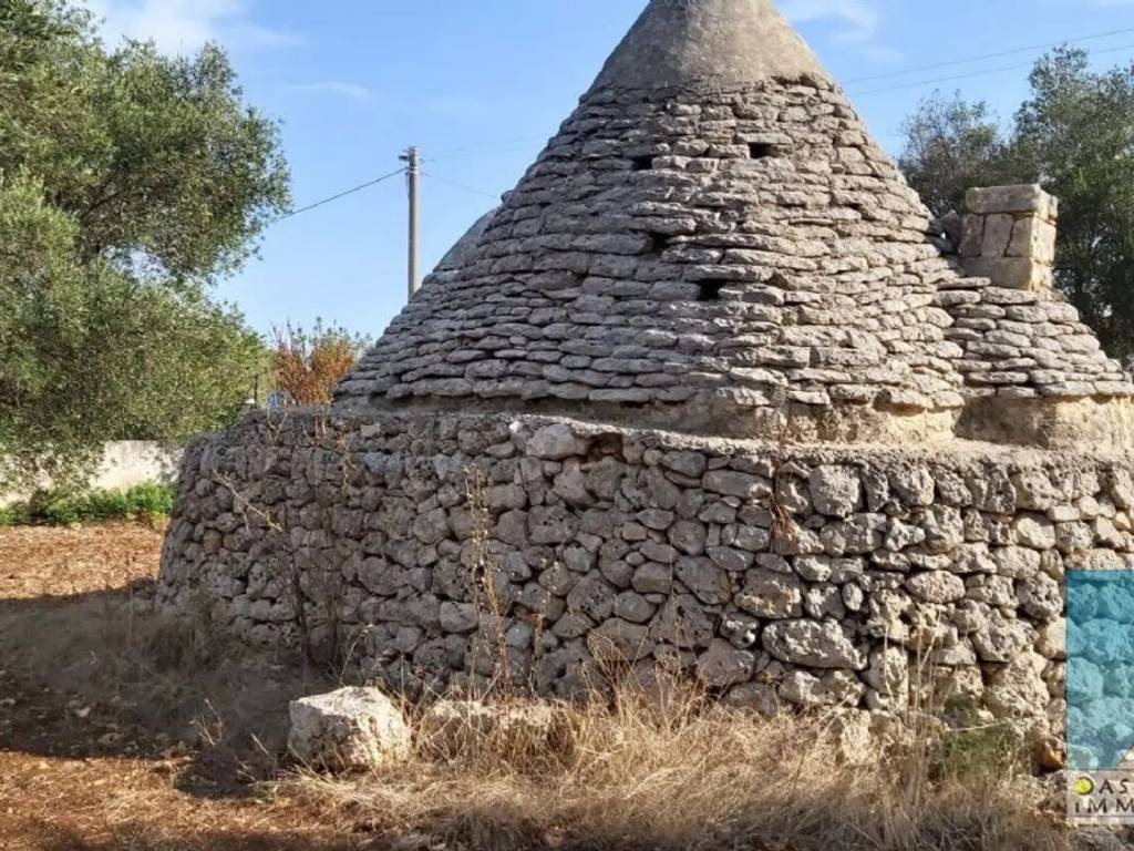 Rustico / casale a San michele salentino in Via Duca D'Aosta S.N.C. - Foto 4