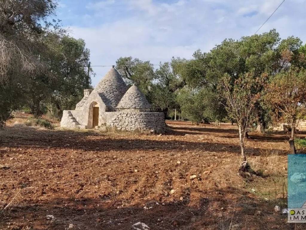 Rustico / casale a San michele salentino in Via Duca D'Aosta S.N.C. - Foto 5