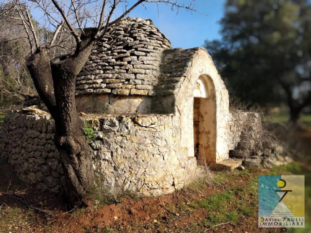 Rustico / casale a San michele salentino in Contrada San Giacomo S.N.C. - Foto 4