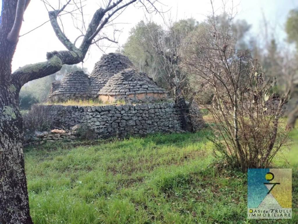 Rustico / casale a San michele salentino in Contrada San Giacomo S.N.C. - Foto 5