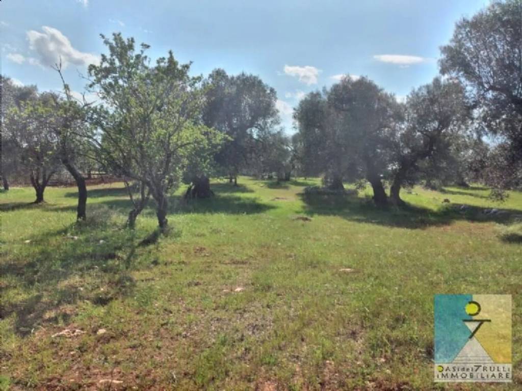 Rustico / casale a San michele salentino in Contrada Archivecchi - Foto 2