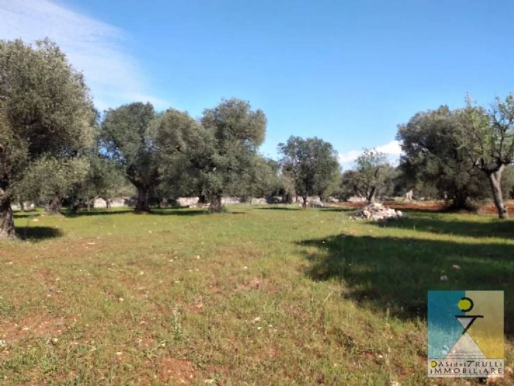 Rustico / casale a San michele salentino in Contrada Archivecchi - Foto 3