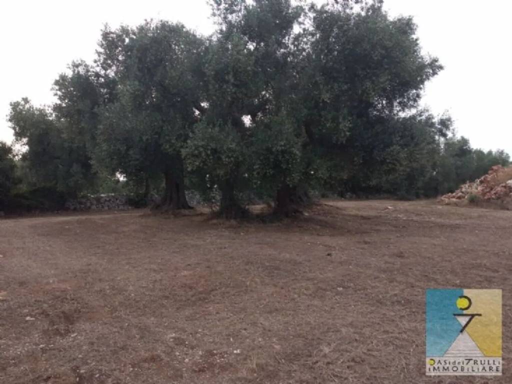 Rustico / casale a San vito dei normanni in Contrada Laurelli - Foto 4