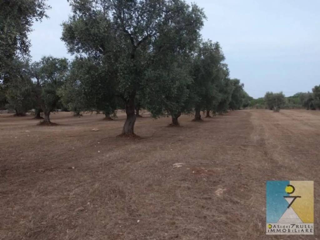 Rustico / casale a San vito dei normanni in Contrada Laurelli - Foto 5