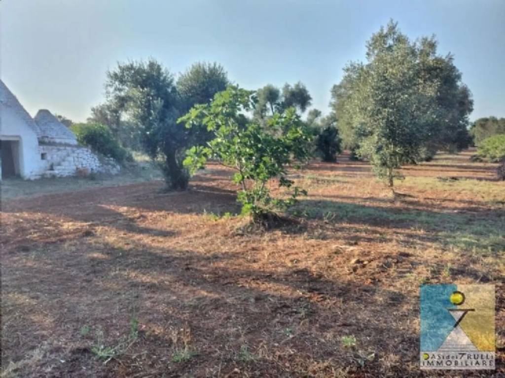 Rustico / casale a San michele salentino in Contrada Sardella - Foto 2