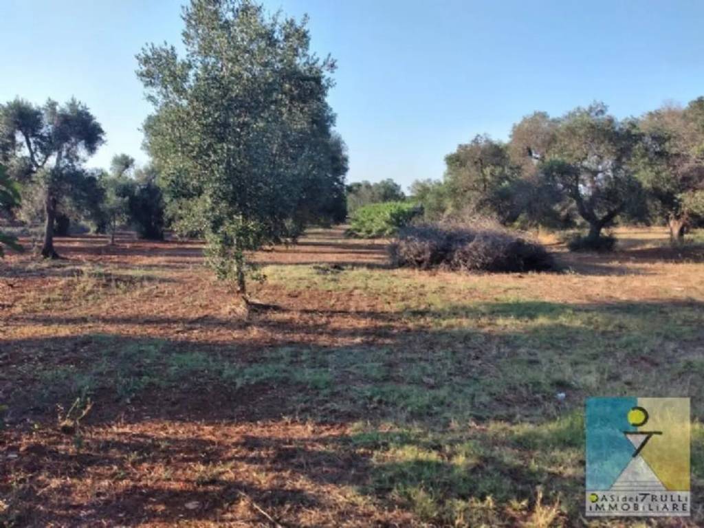 Rustico / casale a San michele salentino in Contrada Sardella - Foto 3