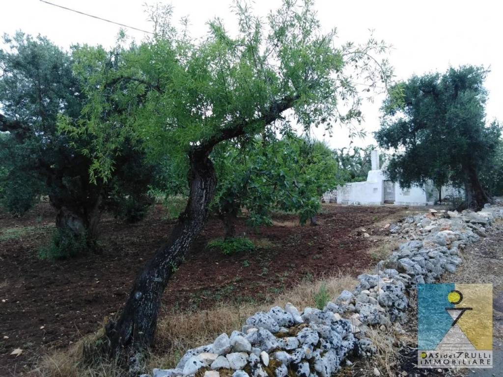 Rustico / casale a San vito dei normanni in Contrada Aieni S.N.C. - Foto 3