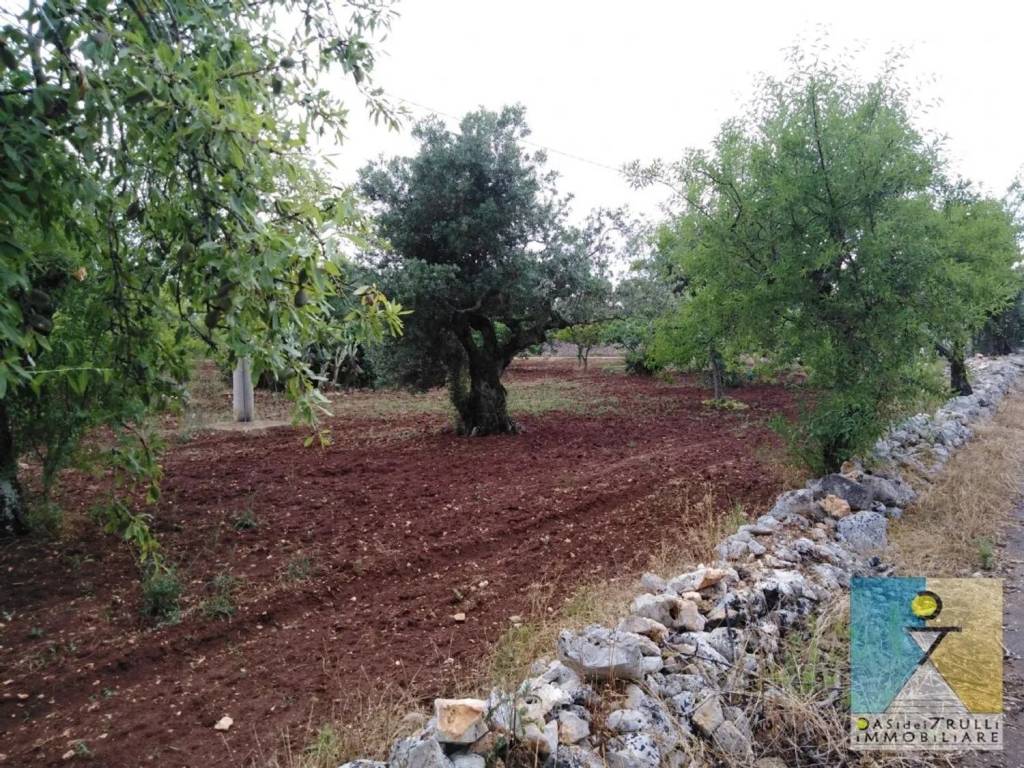 Rustico / casale a San vito dei normanni in Contrada Aieni S.N.C. - Foto 4