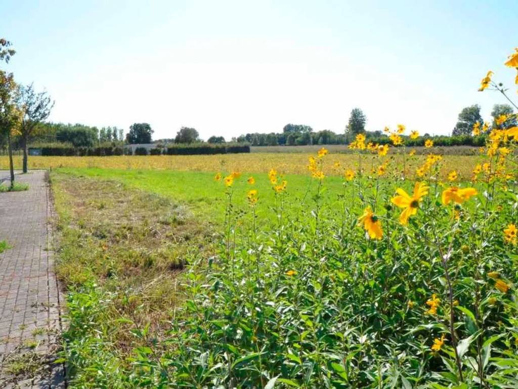 Terreno a Chions - Foto 3