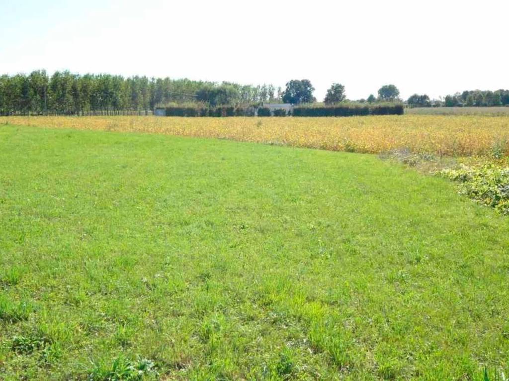 Terreno a Chions - Foto 5