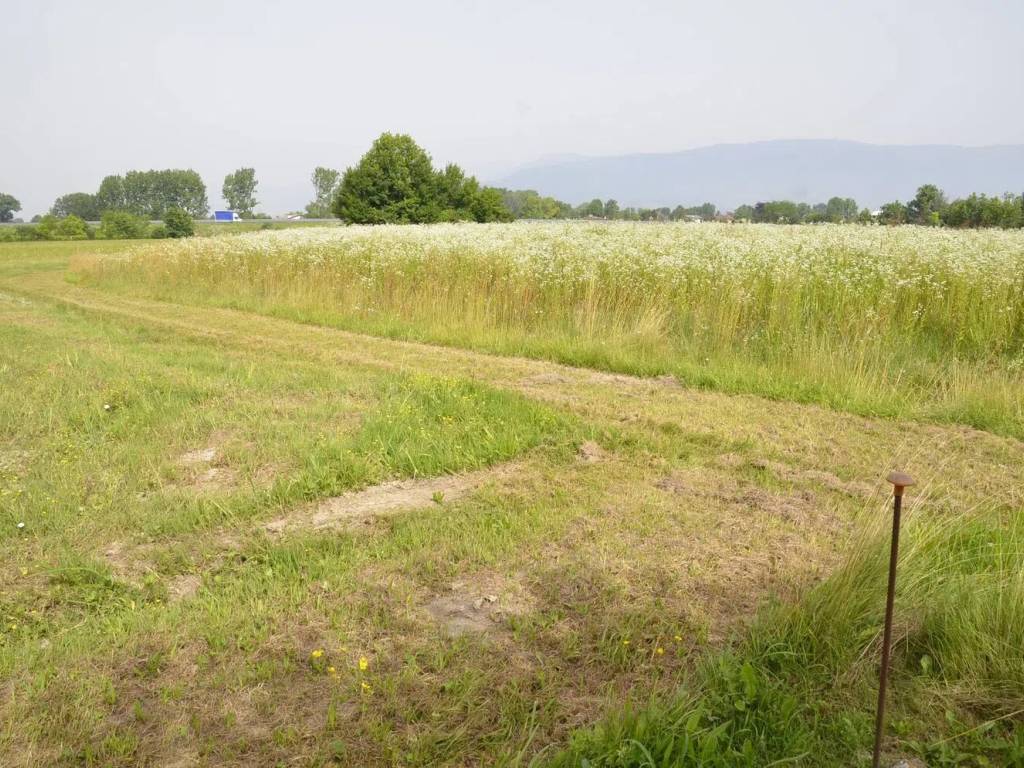 Terreno a Sacile - Foto 1