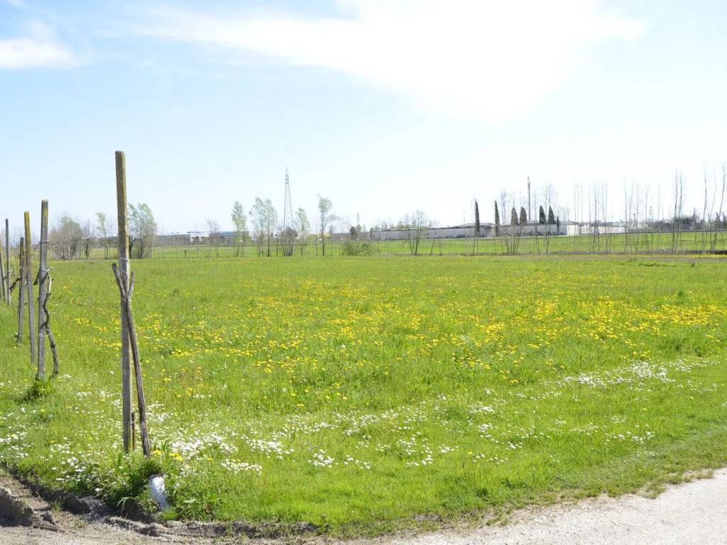 Terreno a Azzano decimo - Foto 4