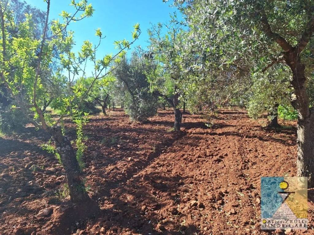 Rustico / casale a San vito dei normanni in Contrada Grattile - Foto 2