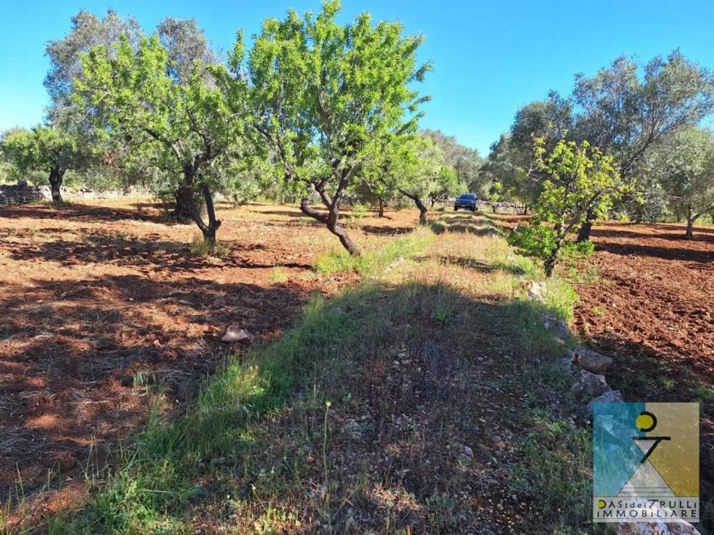 Rustico / casale a San vito dei normanni in Contrada Grattile - Foto 3