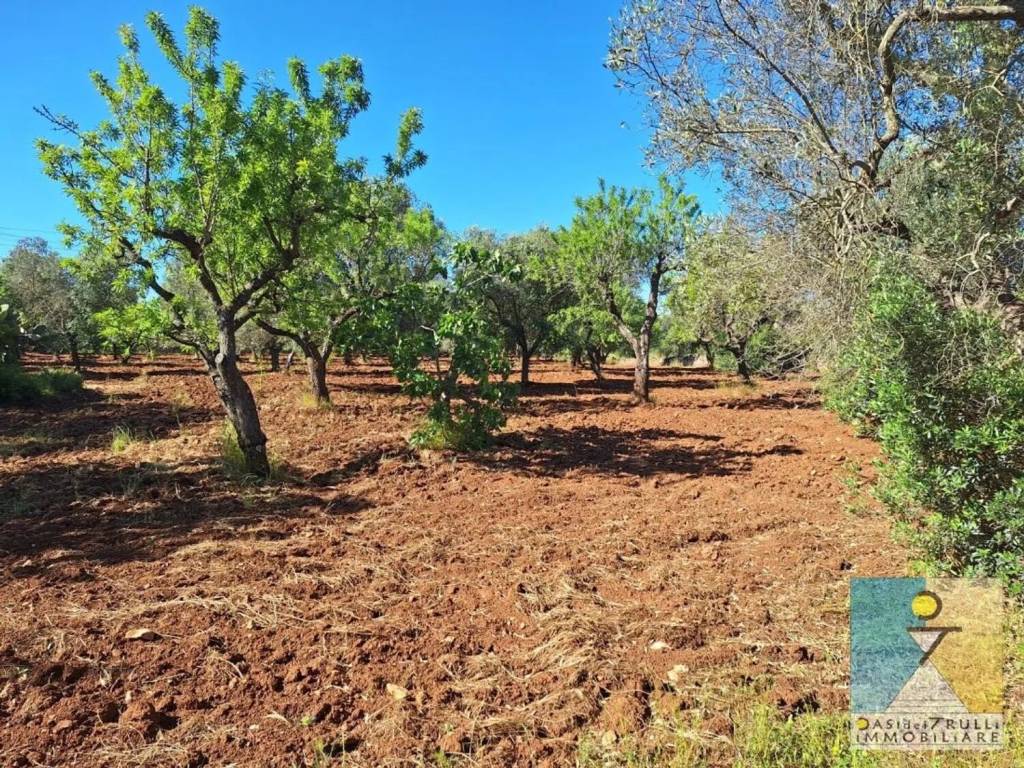 Rustico / casale a San vito dei normanni in Contrada Grattile - Foto 4