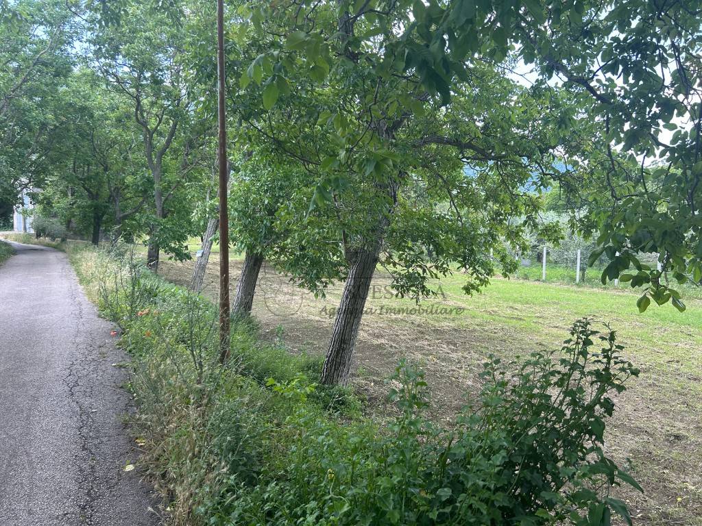 Terreno a San felice a cancello in Via Laurenza - Foto 5