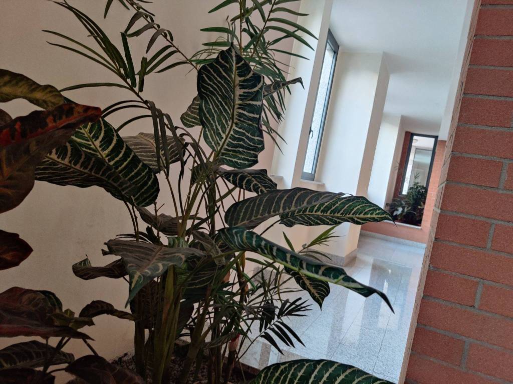 Appartamento a Torino in Via Bettino Ricasoli, 14 - Foto 4